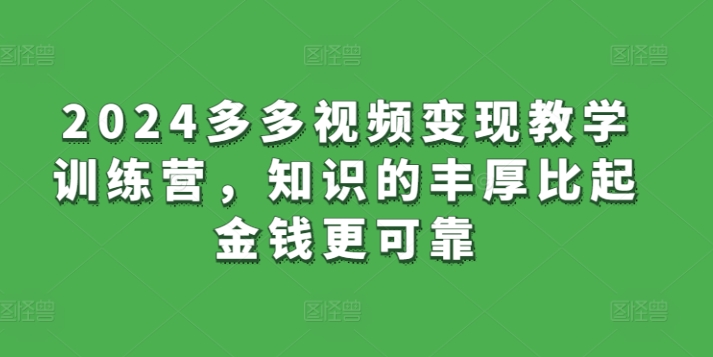 2024多多视频变现教学训练营,知识的丰厚比起金钱更可靠-淘金日记
