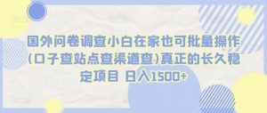 国外问卷调查小白在家也可批量操作(口子查站点查渠道查)真正的长久稳定项目 日入1500+【揭秘】-淘金日记