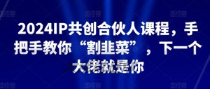 2024IP共创合伙人课程，手把手教你“割韭菜”，下一个大佬就是你-淘金日记