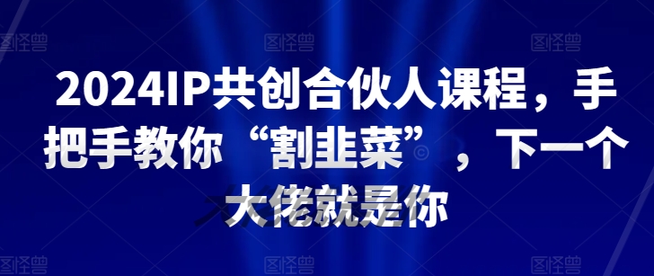 2024IP共创合伙人课程,手把手教你“割韭菜”,下一个大佬就是你-淘金日记