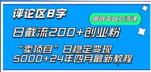 抖音评论区8字日截流200+创业粉 “卖项目”日稳定变现5000+【揭秘】-淘金日记
