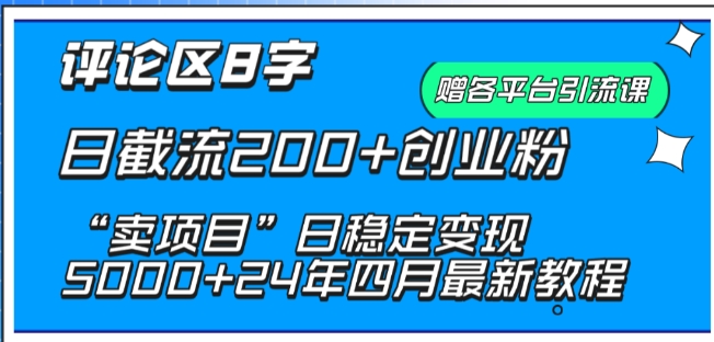 抖音评论区8字日截流200+创业粉 “卖项目”日稳定变现5000+【揭秘】-淘金日记