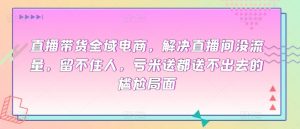 直播带货全域电商,解决直播间没流量,留不住人,亏米送都送不出去的尴尬局面-淘金日记