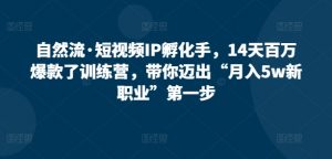 自然流·短视频IP孵化手，14天百万爆款了训练营，带你迈出“月入5w新职业”第一步-淘金日记