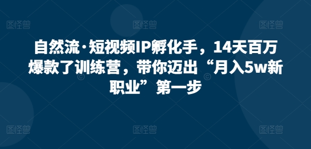 自然流·短视频IP孵化手,14天百万爆款了训练营,带你迈出“月入5w新职业”第一步-淘金日记
