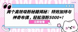 两个高效吸粉秘籍揭秘：特效加持与神奇布偶，轻松涨粉5000+【揭秘】-淘金日记