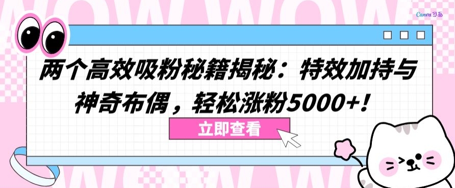 两个高效吸粉秘籍揭秘：特效加持与神奇布偶，轻松涨粉5000+【揭秘】-淘金日记
