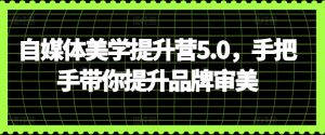 自媒体美学提升营5.0,手把手带你提升品牌审美-淘金日记