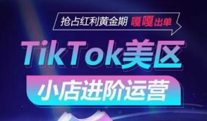 TikTok Shop美区小店进阶运营,抢占红利黄金期 嘎嘎出单-淘金日记