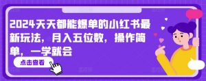 2024天天都能爆单的小红书最新玩法，月入五位数，操作简单，一学就会【揭秘】-淘金日记