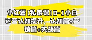小红薯【私家课】0-1小白运营认知提升，认知篇+营销篇+实战篇-淘金日记