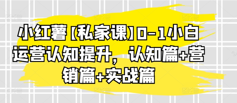 小红薯【私家课】0-1小白运营认知提升,认知篇+营销篇+实战篇-淘金日记