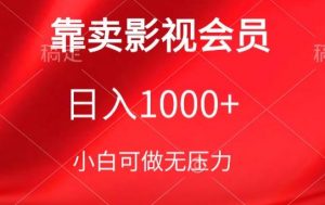 靠卖影视会员，日入1000+，落地保姆级教程，新手可学【揭秘】-淘金日记