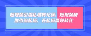 短视频引流私域转化课,短视频精准引流私域,在私域高效转化-淘金日记