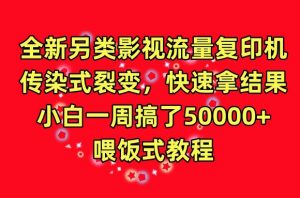 全新另类影视流量复印机,传染式裂变,快速拿结果,小白一周搞了50000+,喂饭式教程【揭秘】-淘金日记