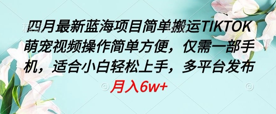四月最新蓝海项目,简单搬运TIKTOK萌宠视频,操作简单方便,仅需一部手机【揭秘】-淘金日记