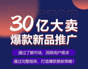 亚马逊·30亿大卖爆款新品推广,可复制、全程案例实操的爆款推新SOP-淘金日记