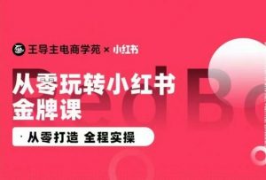 王导主·小红书电商运营实操课,从零打造 全程实操-淘金日记