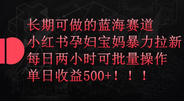 长期可做的蓝海赛道,小红书孕妇宝妈暴力拉新玩法,每日两小时可批量操作,单日收益500+【揭秘】-淘金日记