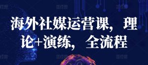 海外社媒运营课，理论+演练，全流程-淘金日记
