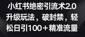 小红书绝密引流术2.0升级玩法,破封禁,轻松日引100+精准流量【揭秘】-淘金日记