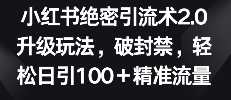 小红书绝密引流术2.0升级玩法,破封禁,轻松日引100+精准流量【揭秘】-淘金日记