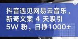 抖音遇见网易云音乐，新奇文案 4 天吸引 5W 粉，日挣1000+【揭秘】-淘金日记