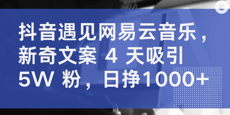 抖音遇见网易云音乐，新奇文案 4 天吸引 5W 粉，日挣1000+【揭秘】-淘金日记
