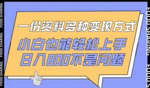 一份资料多种变现方式，小白也能轻松上手，日入800不是问题【揭秘】-淘金日记