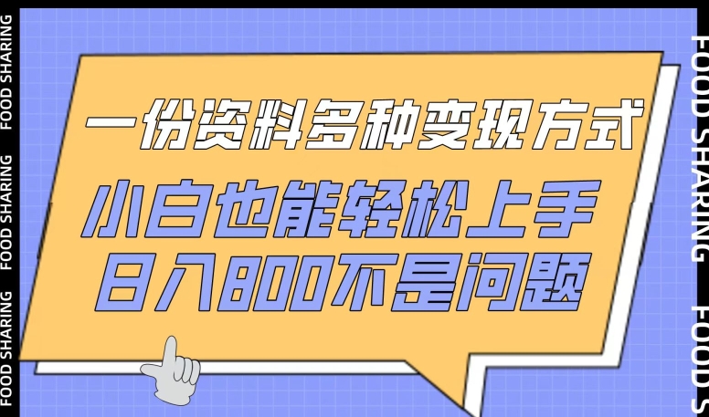 一份资料多种变现方式,小白也能轻松上手,日入800不是问题【揭秘】-淘金日记