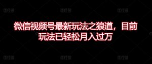 微信视频号最新玩法之狼道，目前玩法已轻松月入过万【揭秘】-淘金日记