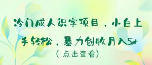冷门成人识字项目,小白上手轻松,暴力创收月入5w+【揭秘】-淘金日记