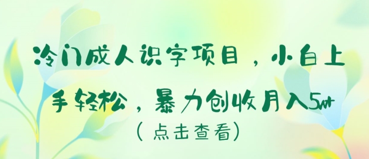 冷门成人识字项目，小白上手轻松，暴力创收月入5w+【揭秘】-淘金日记