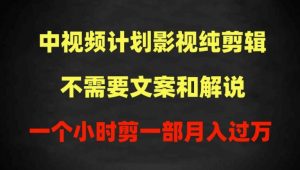 中视频计划影视纯剪辑,不需要文案和解说,一个小时剪一部,100%过原创月入过万【揭秘】-淘金日记