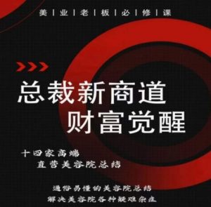 总裁新商道(美业老板必修课),通俗易懂的美容院总结,解决美容院各种疑难杂症-淘金日记