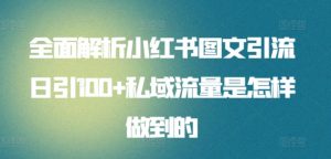 全面解析小红书图文引流日引100+私域流量是怎样做到的【揭秘】-淘金日记