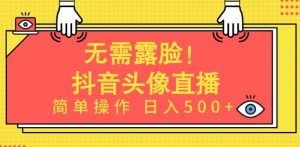 无需露脸,Ai头像直播项目,简单操作日入500+【揭秘】-淘金日记