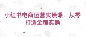 小红书电商运营实操课，​从零打造全程实操-淘金日记