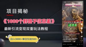 一千个野路子信息差最新玩法教程-变现+引流的玩法具体拆解【揭秘】-淘金日记