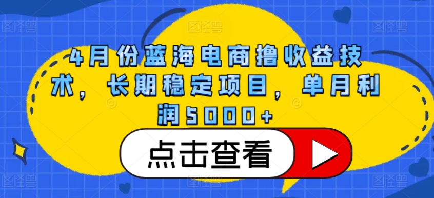 4月份蓝海电商撸收益技术，长期稳定项目，单月利润5000+【揭秘】-淘金日记