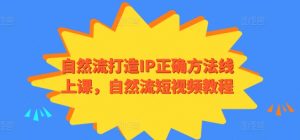 自然流打造IP正确方法线上课,自然流短视频教程-淘金日记