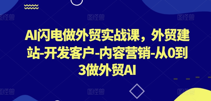 AI闪电做外贸实战课,外贸建站-开发客户-内容营销-从0到3做外贸AI-淘金日记