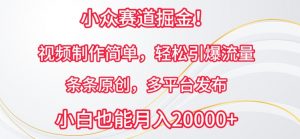 小众赛道掘金，视频制作简单，轻松引爆流量，条条原创，多平台发布【揭秘】-淘金日记