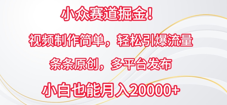小众赛道掘金,视频制作简单,轻松引爆流量,条条原创,多平台发布【揭秘】-淘金日记