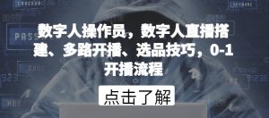 数字人操作员，数字人直播搭建、多路开播、选品技巧，0-1开播流程-淘金日记