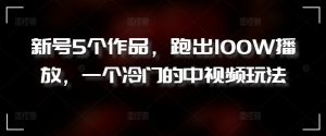 新号5个作品,跑出100W播放,一个冷门的中视频玩法【揭秘】-淘金日记