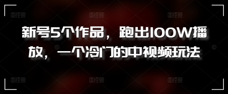 新号5个作品,跑出100W播放,一个冷门的中视频玩法【揭秘】-淘金日记