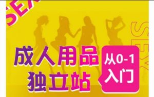 成人用品独立站从0-1入门,成品独立站运营全流程教学,七大好卖成品独立站推荐-淘金日记