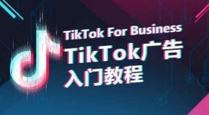 TikTok广告入门教程,从0到1掌握TikTok投放的全流程-淘金日记