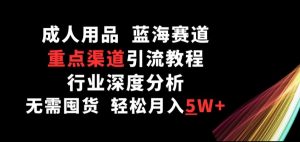 成人用品,蓝海赛道,重点渠道引流教程,行业深度分析,无需囤货,轻松月入5W+【揭秘】-淘金日记